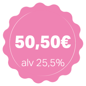 kotisiivous pori hinta